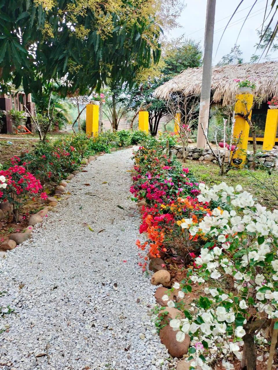Mai Chau Onsen Retreat Ξενοδοχείο Εξωτερικό φωτογραφία